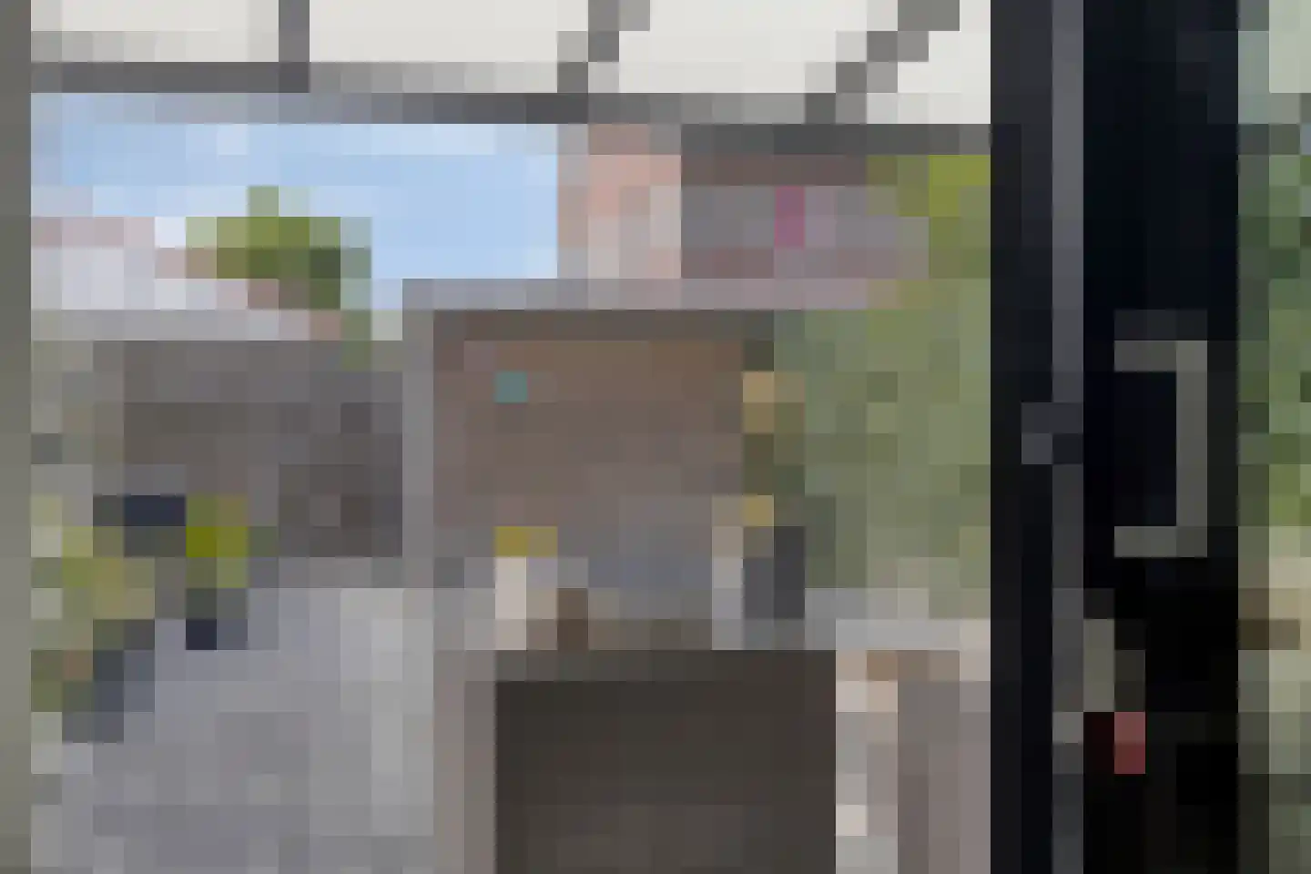 Populier 11 Leek thumbnail 6