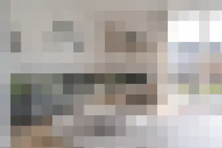 Populier 16 Leek thumbnail 11