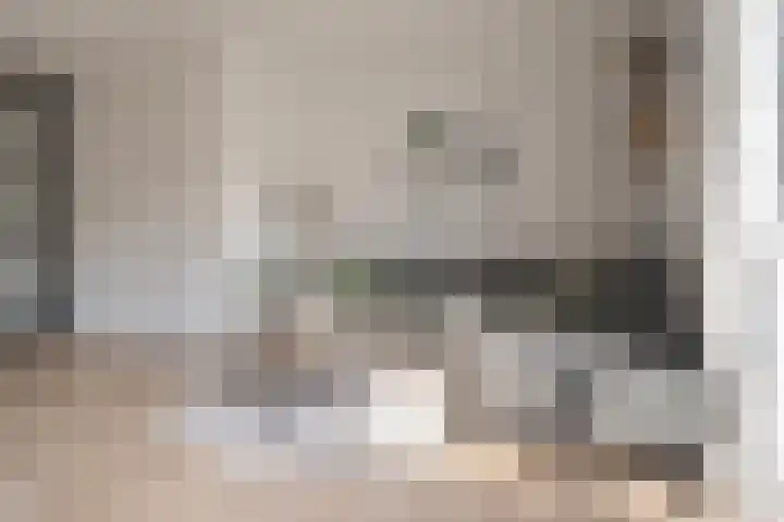 Populier 16 Leek thumbnail 12