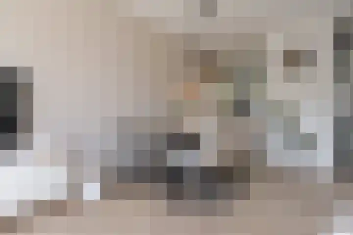 Populier 16 Leek thumbnail 14