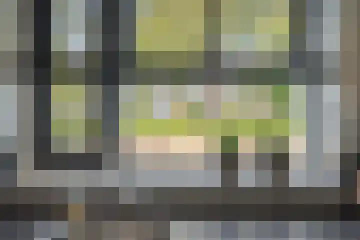 Populier 16 Leek thumbnail 17