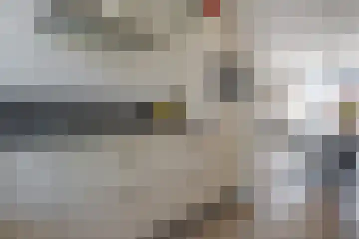 Populier 16 Leek thumbnail 18