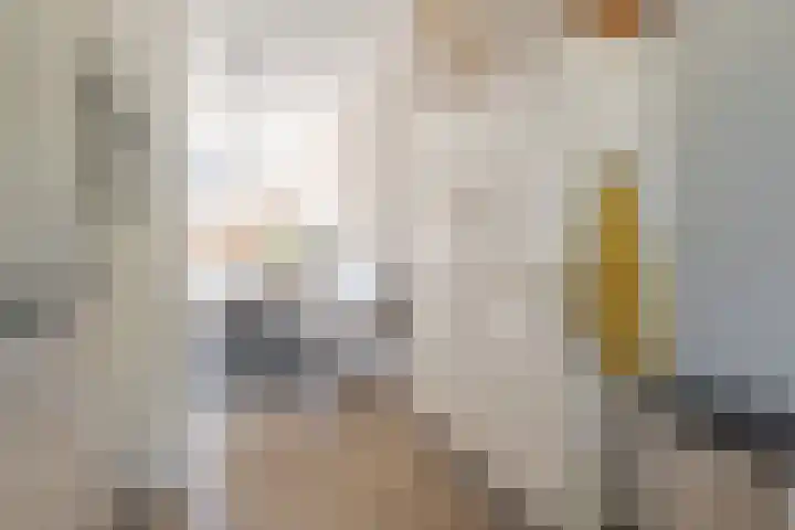 Populier 16 Leek thumbnail 19