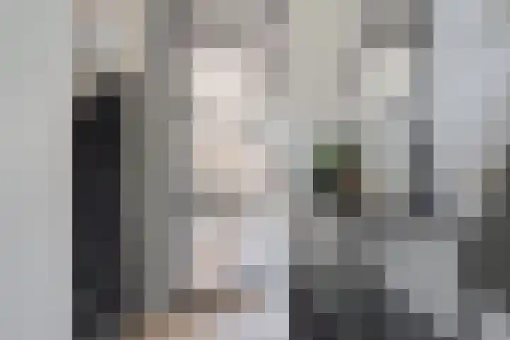Populier 16 Leek thumbnail 20