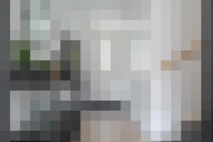 Populier 16 Leek thumbnail 21