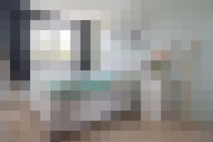 Populier 16 Leek thumbnail 24