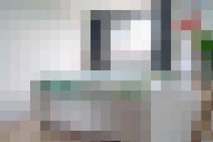 Populier 16 Leek thumbnail 25