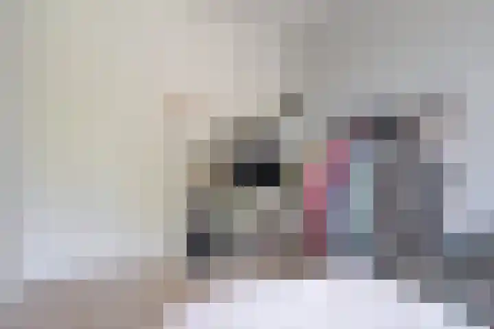 Populier 16 Leek thumbnail 28