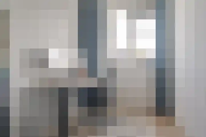 Populier 16 Leek thumbnail 29