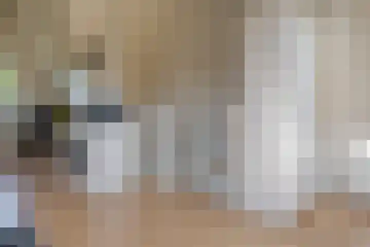 Populier 16 Leek thumbnail 32