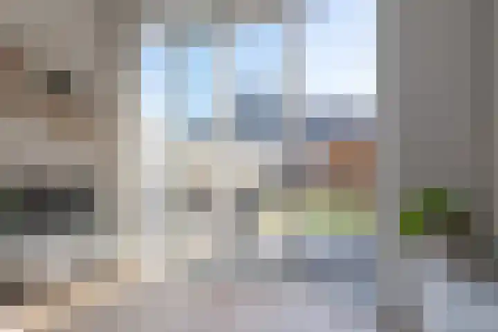 Populier 16 Leek thumbnail 35