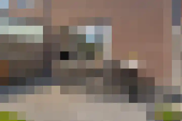 Populier 16 Leek thumbnail 37