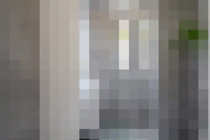Populier 16 Leek thumbnail 4