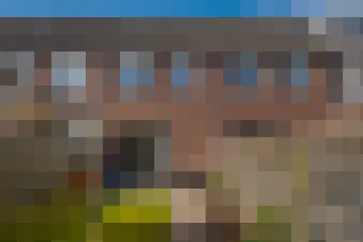 Populier 16 Leek thumbnail 41