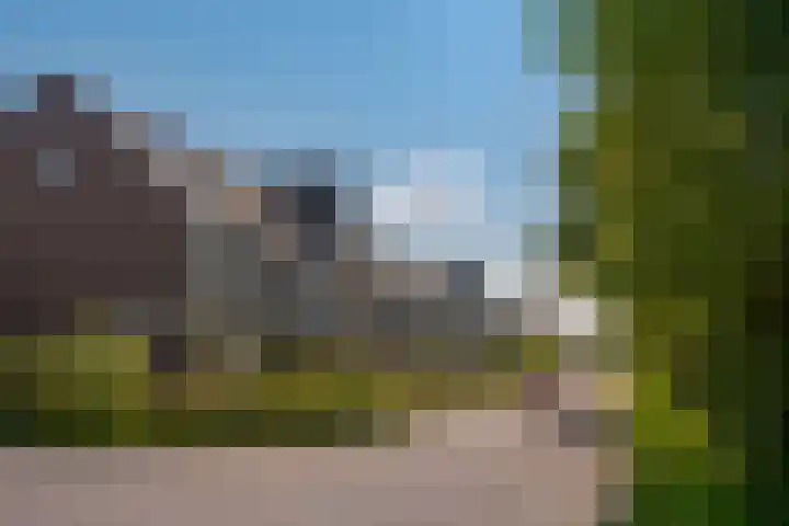 Populier 16 Leek thumbnail 42