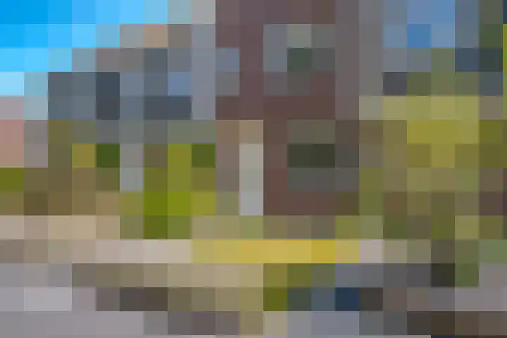 Populier 16 Leek thumbnail 5