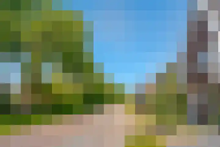 Populier 16 Leek thumbnail 6