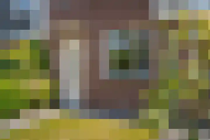 Populier 16 Leek thumbnail 8
