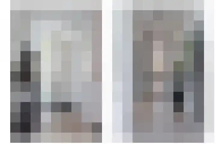 Populier 16 Leek thumbnail 9
