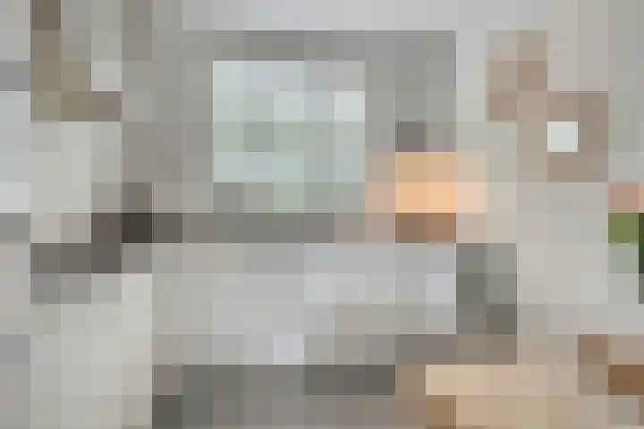 Populier 17 Leek thumbnail 11