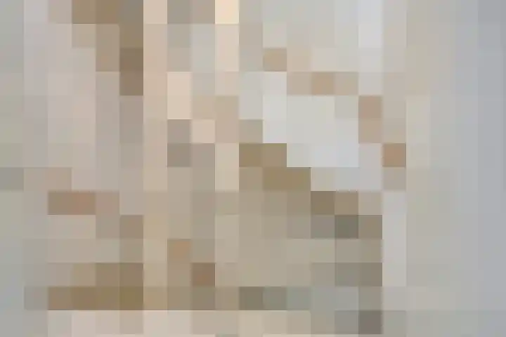 Populier 17 Leek thumbnail 13
