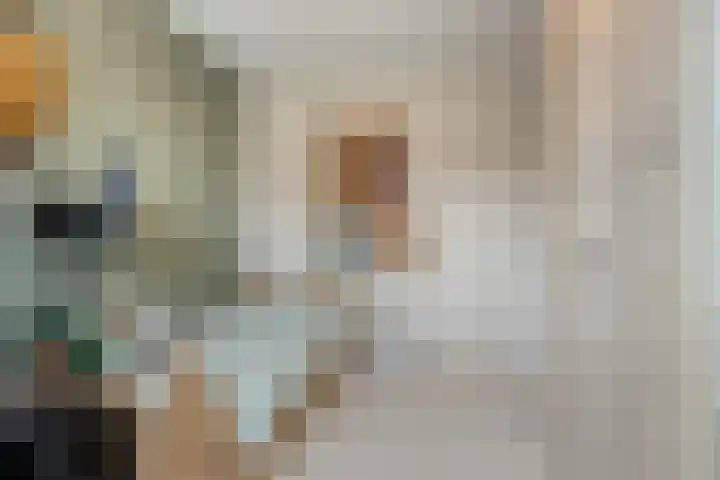 Populier 17 Leek thumbnail 15