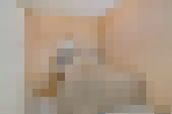 Populier 17 Leek thumbnail 19