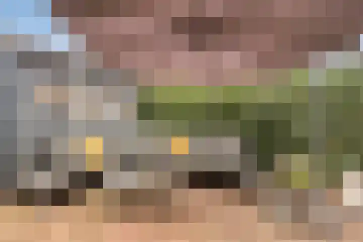 Populier 17 Leek thumbnail 24