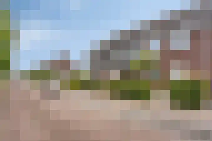 Populier 17 Leek thumbnail 26