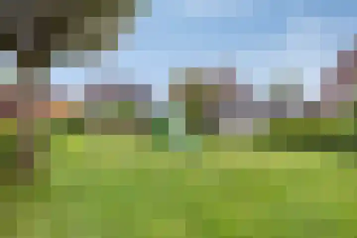 Populier 17 Leek thumbnail 27