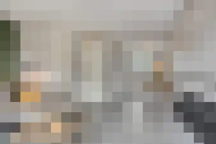 Populier 17 Leek thumbnail 9