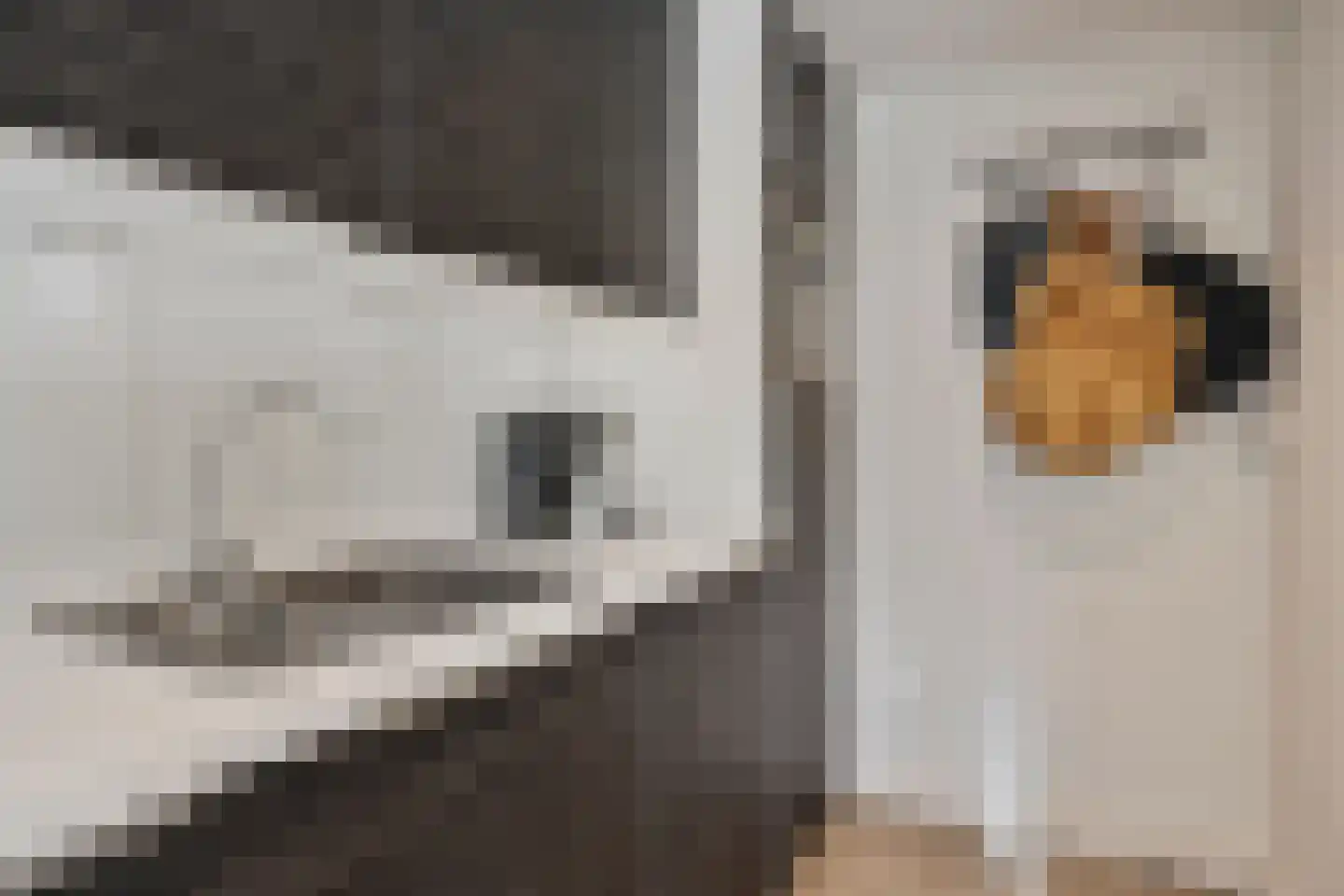 Populier 18 Best thumbnail 11