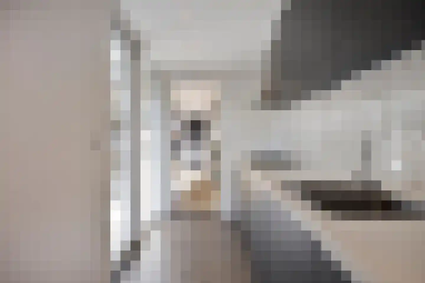 Populier 18 Best thumbnail 12