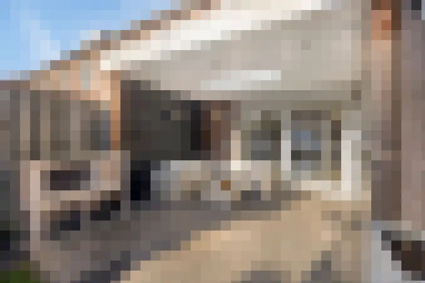 Populier 18 Best thumbnail 31