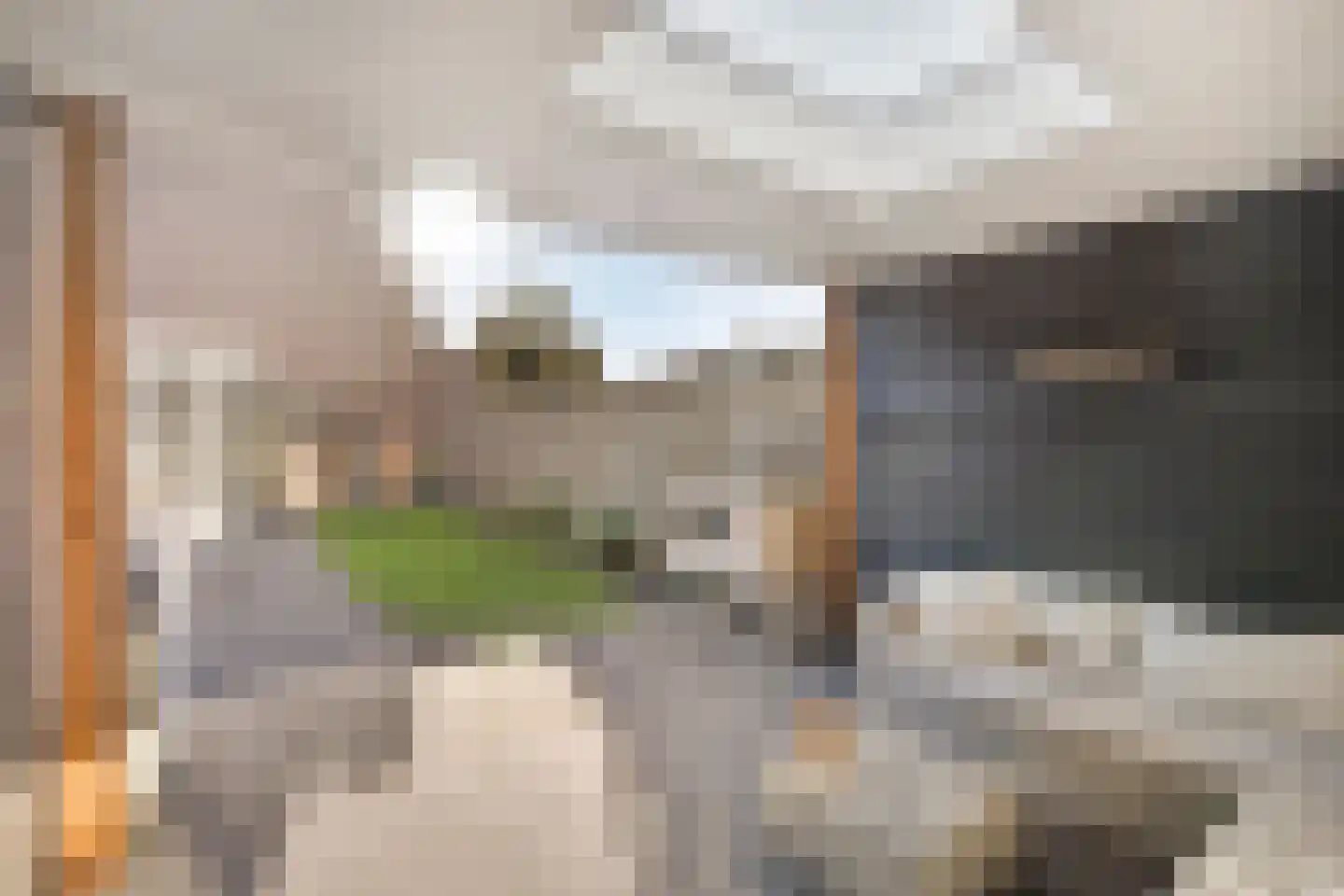 Populier 18 Best thumbnail 32