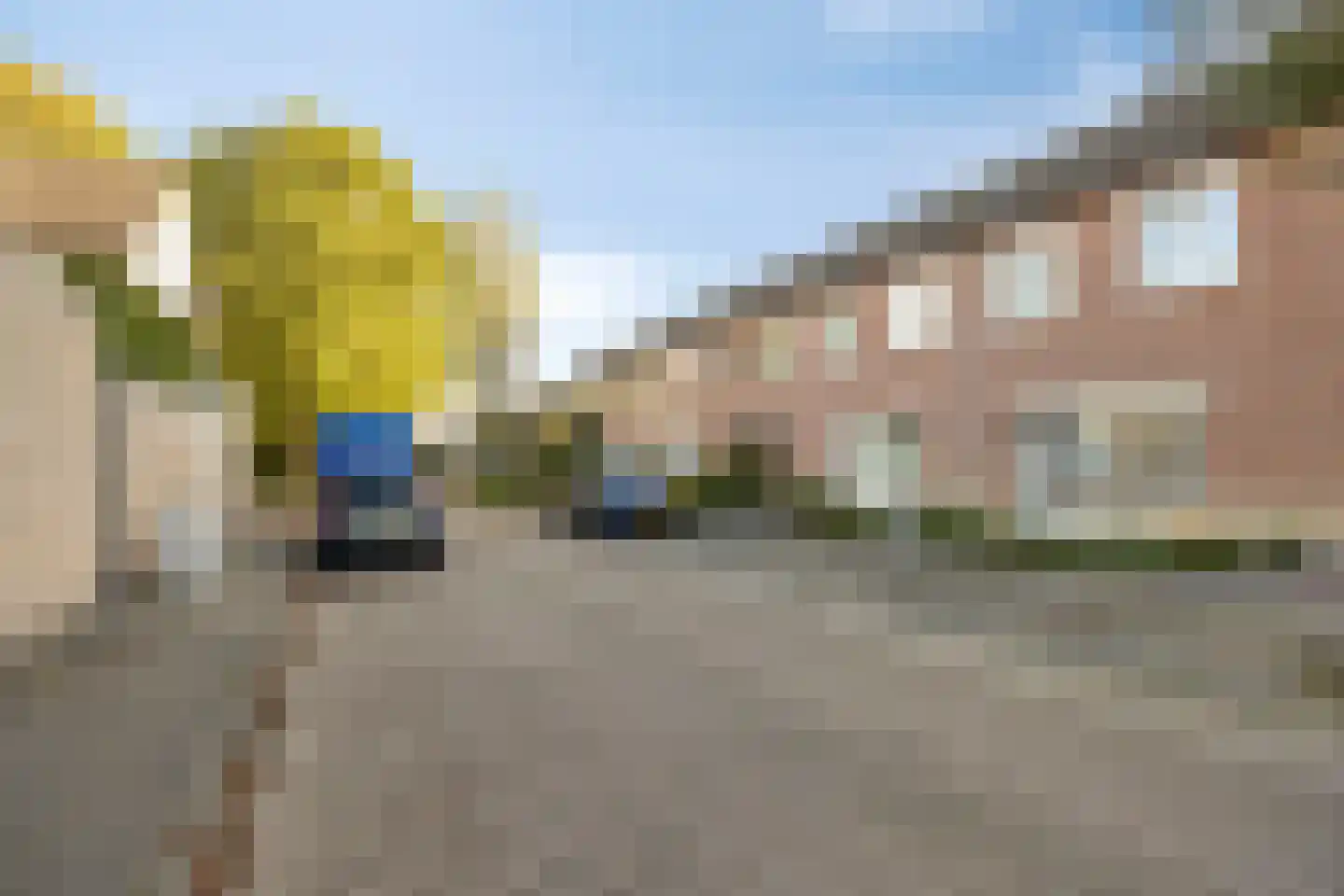 Populier 18 Best thumbnail 40