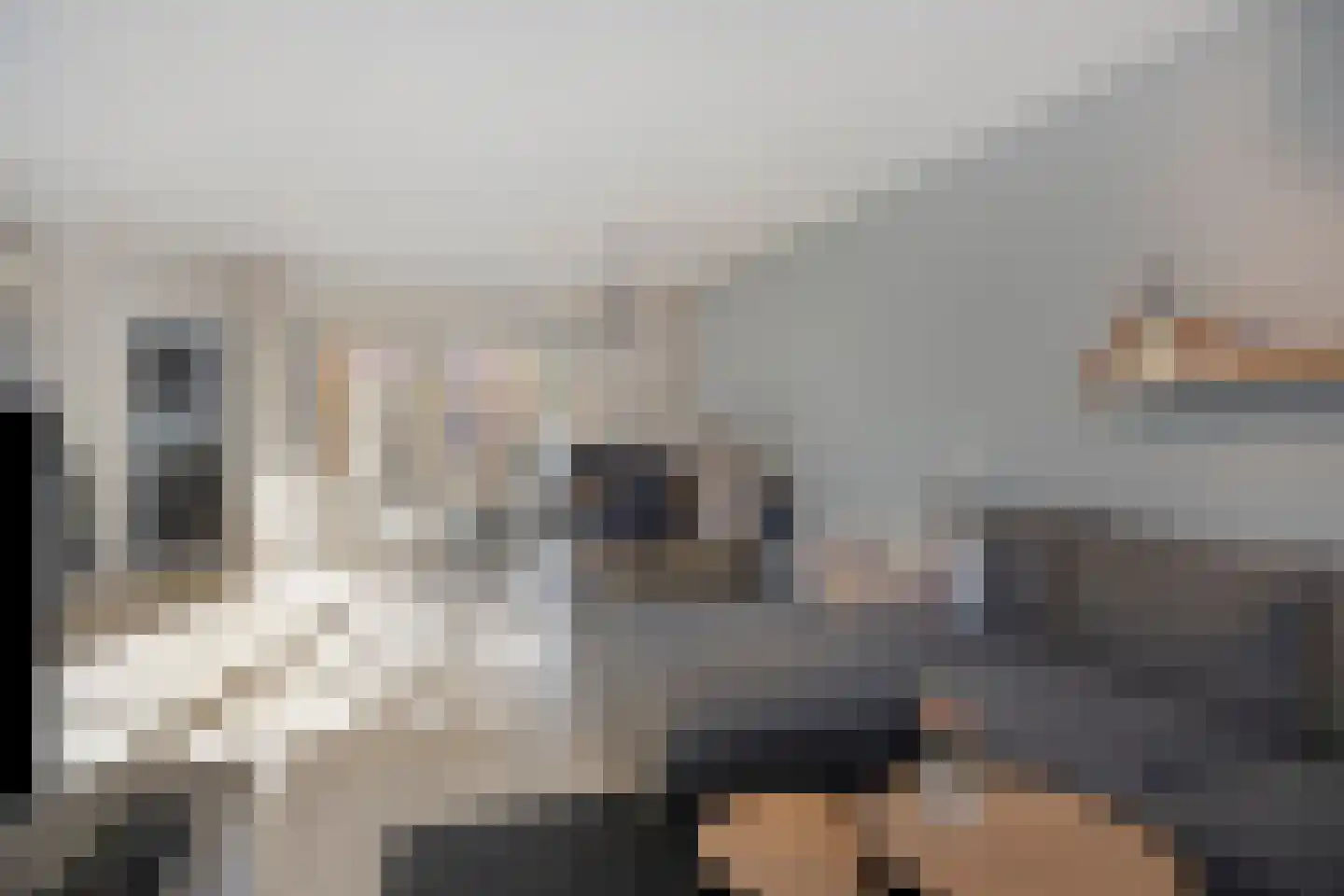 Populier 18 Best thumbnail 5