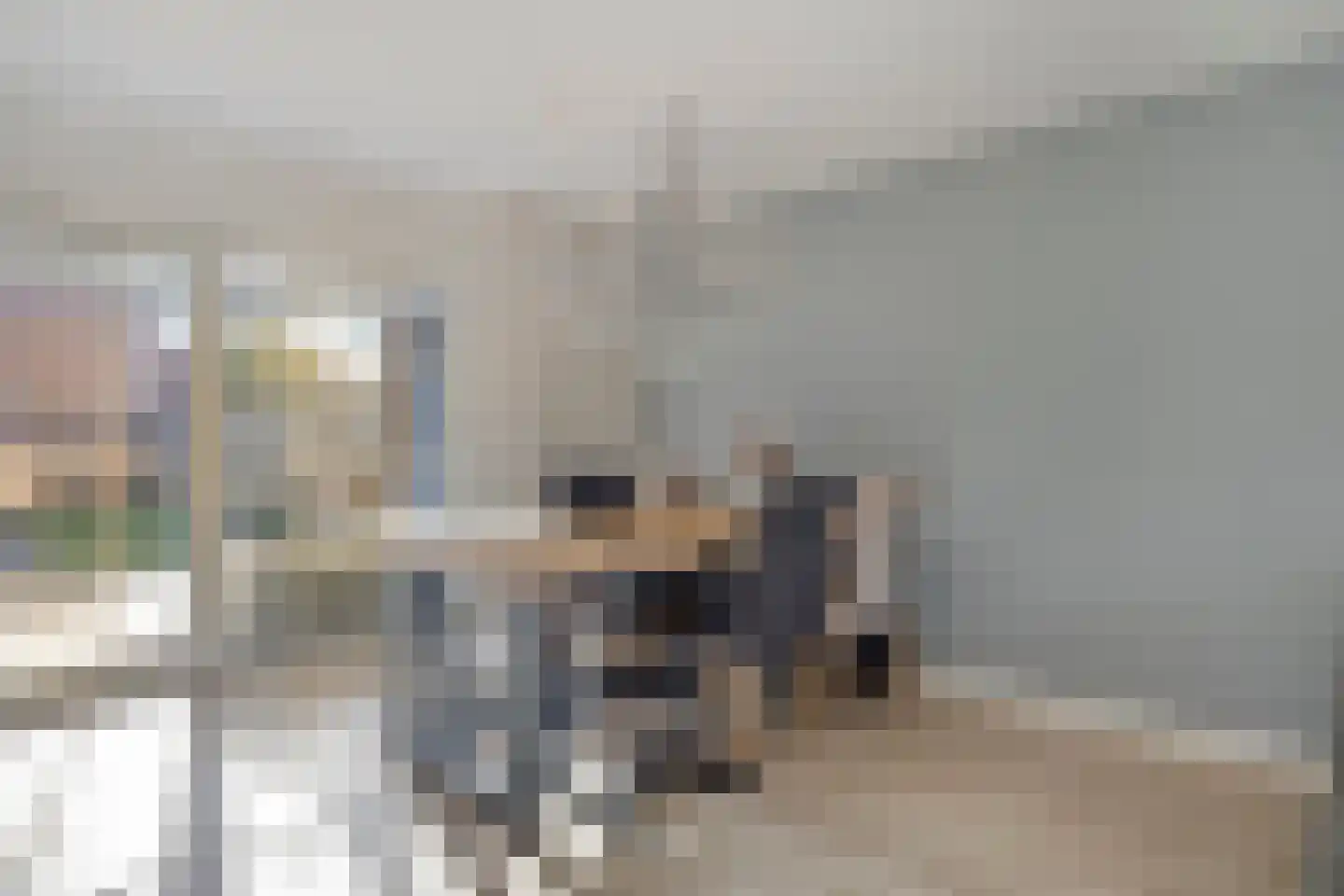 Populier 18 Best thumbnail 8