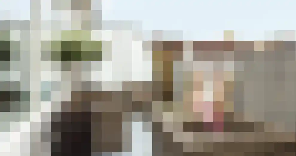 Populier 205 Heerenveen thumbnail 9
