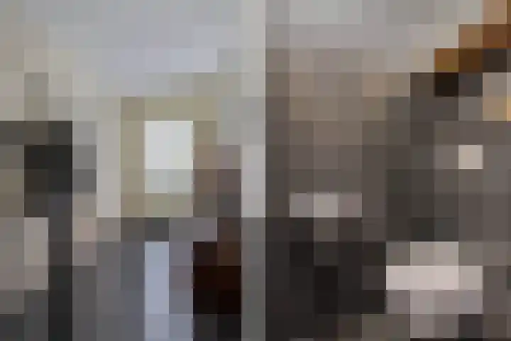 Populier 208 Heerenveen thumbnail 10