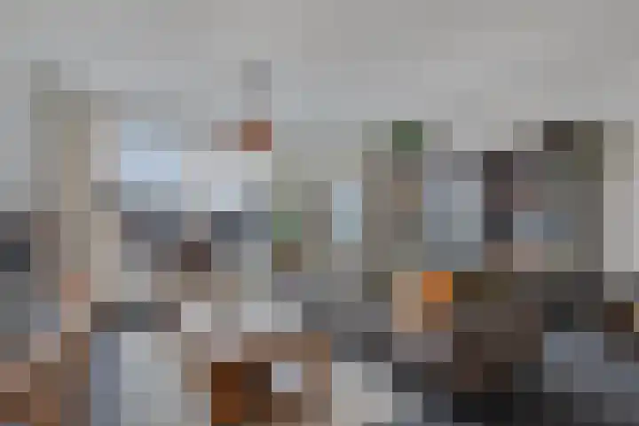 Populier 208 Heerenveen thumbnail 11