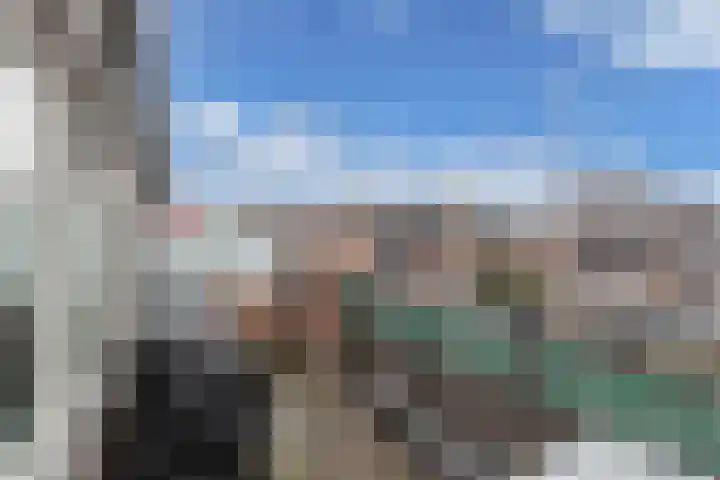 Populier 208 Heerenveen thumbnail 13