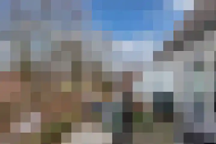 Populier 208 Heerenveen thumbnail 14
