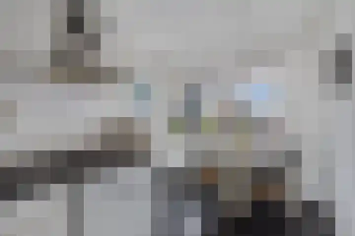 Populier 208 Heerenveen thumbnail 17
