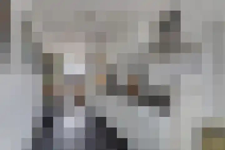 Populier 208 Heerenveen thumbnail 19