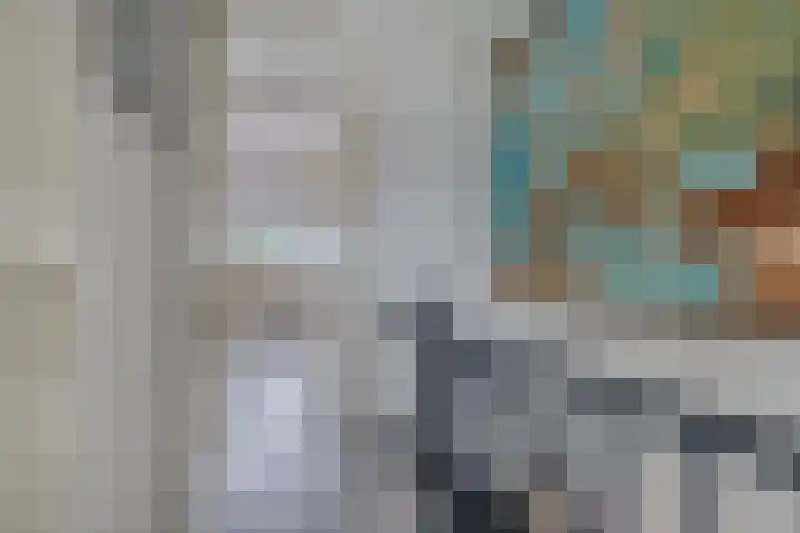 Populier 208 Heerenveen thumbnail 20