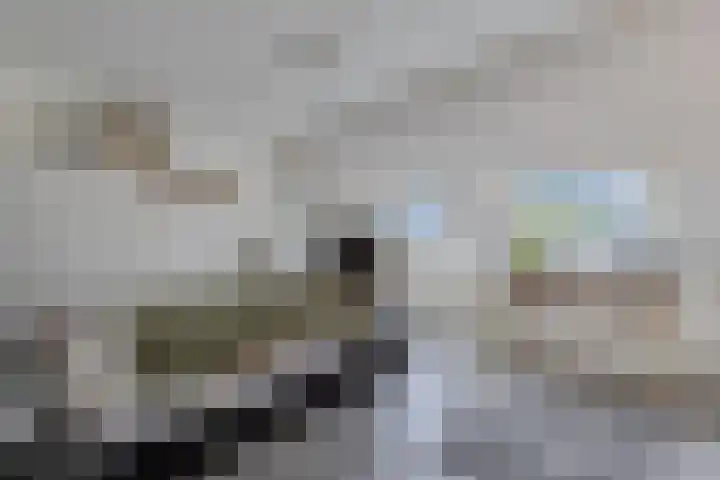 Populier 208 Heerenveen thumbnail 21