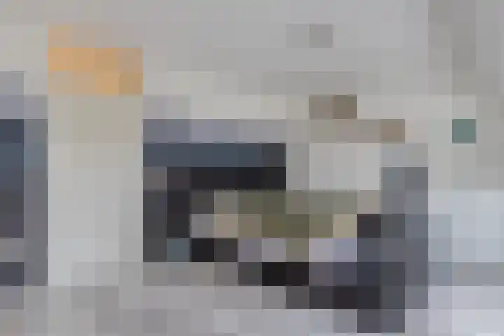 Populier 208 Heerenveen thumbnail 22