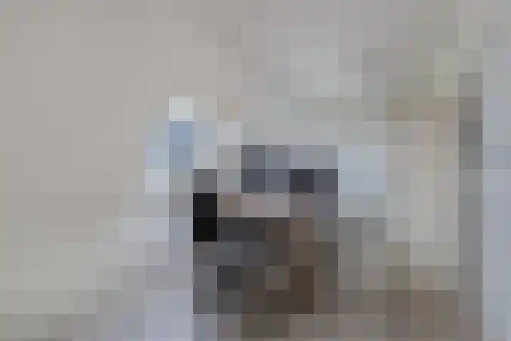 Populier 208 Heerenveen thumbnail 23