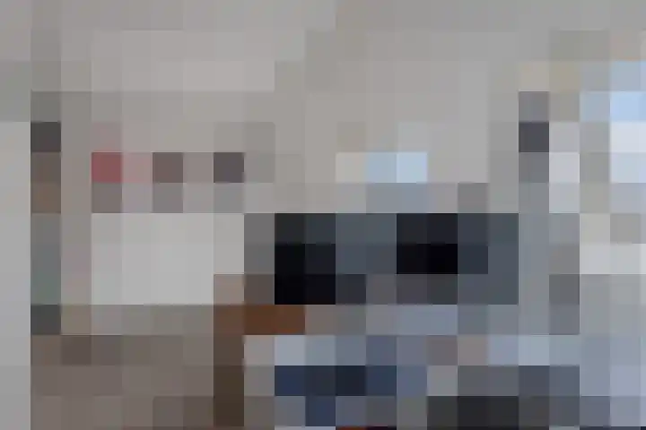 Populier 208 Heerenveen thumbnail 24